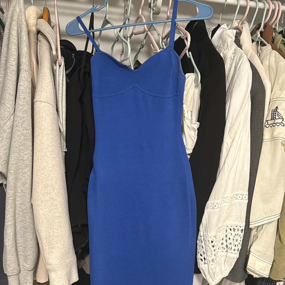 Aritzia Blue Bodycon Midi Dress